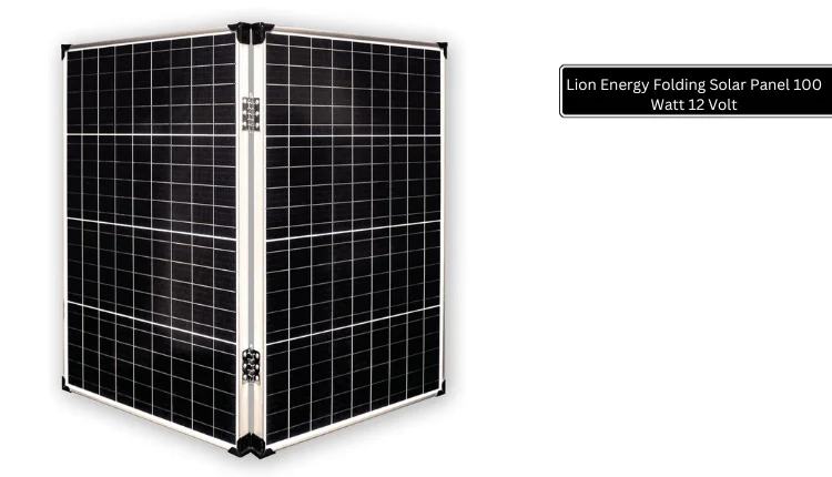 Lion Energy Solar Panels