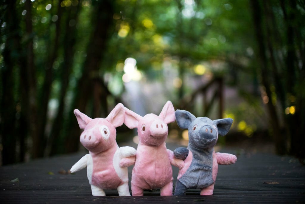 Three Little Pigs