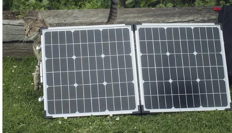 Lion Energy Solar Panels